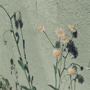 美女脱👙看见大白奶
