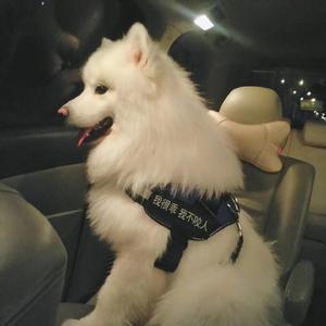 美女脱👙看见大白奶
